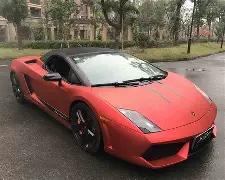 荷甲连胜风,揭秘胜利密,征途国际娱乐,征途国际官网,征途国际入口,征途国际平台,征途国际官方