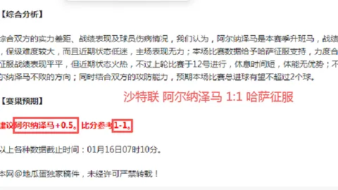 “逆境辉煌：勒沃库森十人阵容成就双冠霸业”