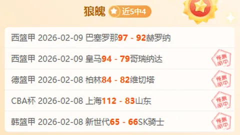 “利兹联逆袭击败切尔西，阿达拉比奥尤助攻关键，内托进球锁定胜局！”