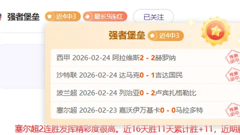 欧篮比赛分析：游击队VS里昂 总分预测